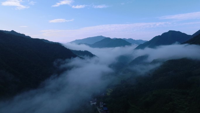 4k百山祖群山庆元清晨山谷云海