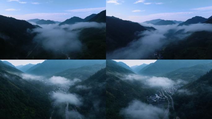 4k百山祖群山庆元清晨山谷云海