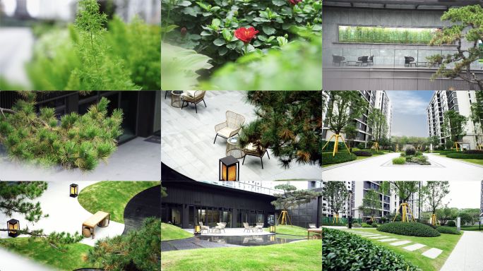 园林绿化 草坪 花卉 乔木 灌木 园林