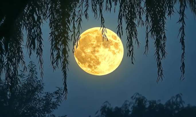 月亮  满月 月圆 中秋月亮 月亮升起