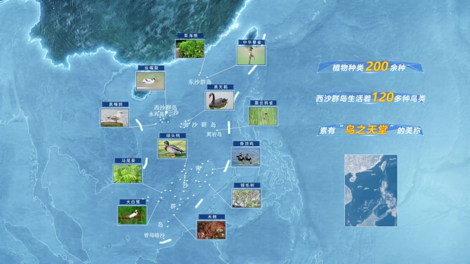 南海蓝色科技地图