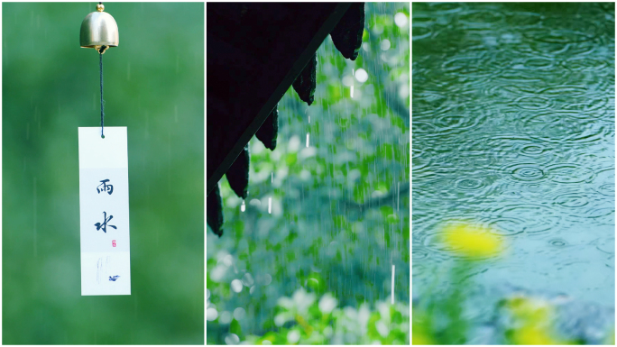 【雨水】雨水节气竖版