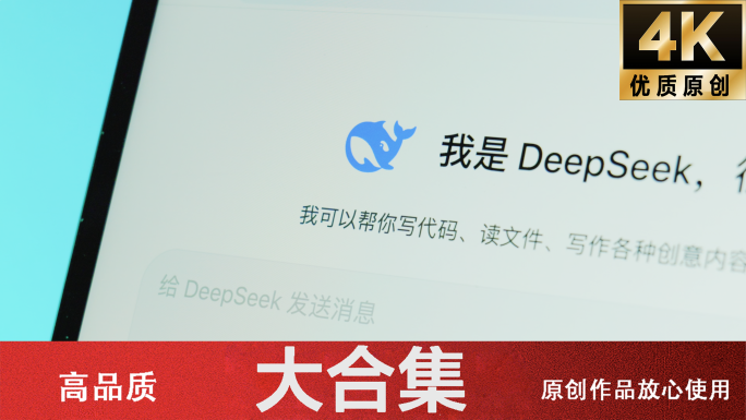 人工智能DeepSeek语言大模型AI