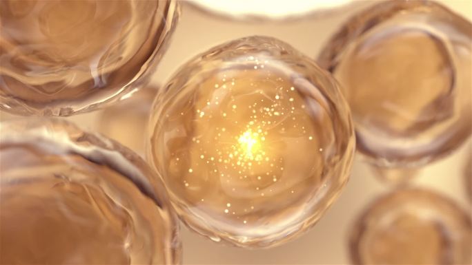 面部美容护肤抗衰老细胞修复C4D+AE