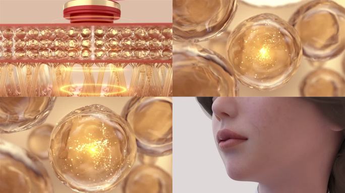 面部美容护肤抗衰老细胞修复C4D+AE