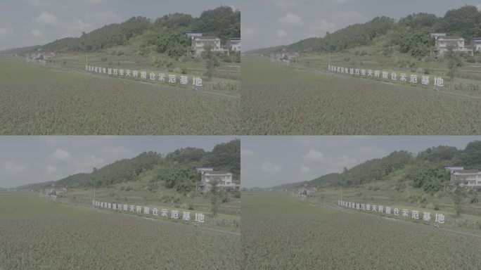 御3原画宜宾建投集团南溪天府粮仓示范基地