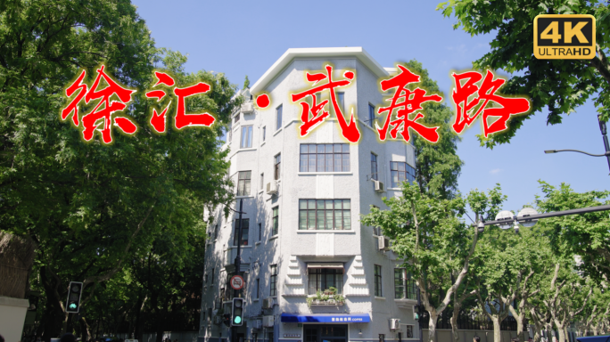 武康路 徐汇区武康路 梧桐树 上海人文