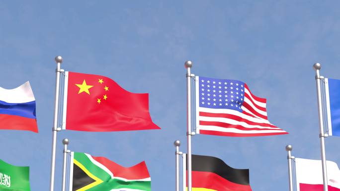 二十国集团G20世界各国旗帜国旗飘扬