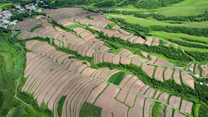 【4K】农村梯田航拍