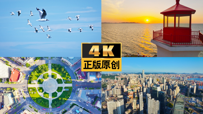 大连宣传片大海大连海鸥跨海大桥城市航拍