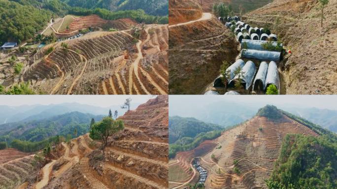 桂北高海拔地区中药材种植基地