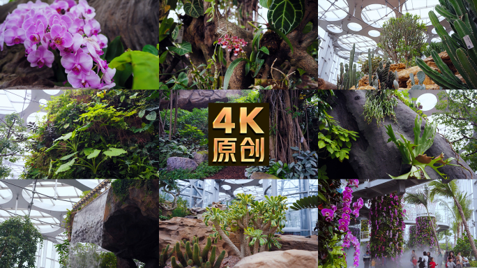 上海温室花园