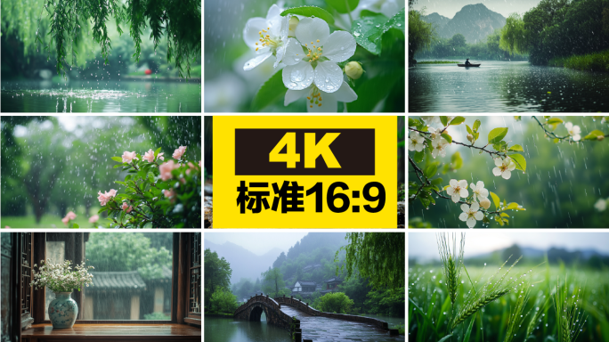 惊蛰 雨水 烟雨江南 下雨 清明 意境