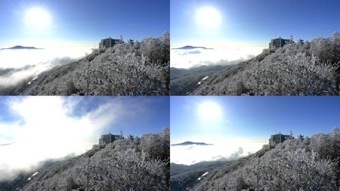 雾凇云海日出冬季雪景延时奇观森林节气冰雪