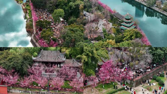 2025成都望江楼公园航拍