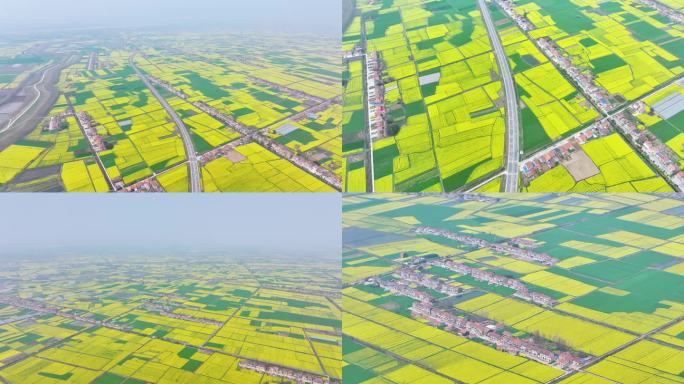 湖北江汉平原油菜花海航拍