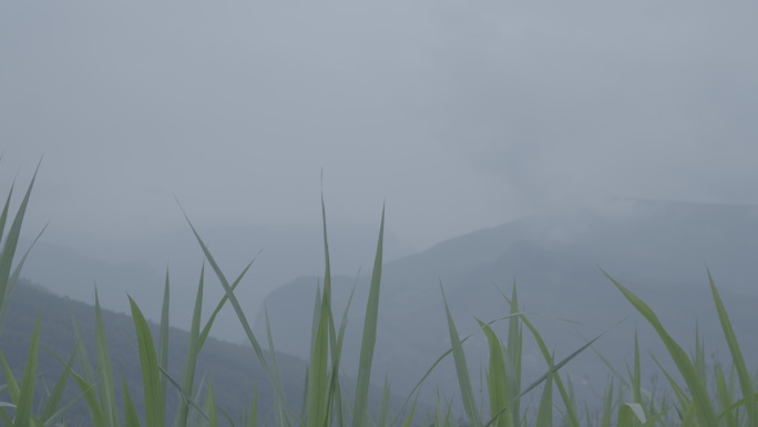 大山里的风景