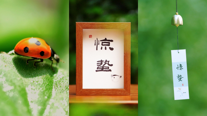惊蛰 节气 竖版