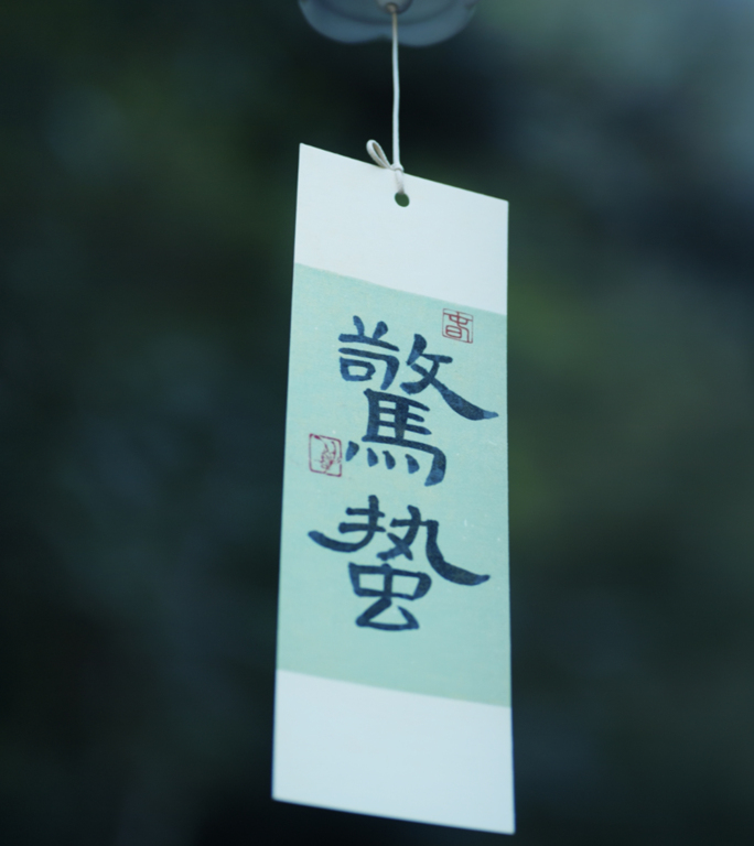 【惊蛰】原创竖版 二十四节气风景视频