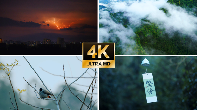 【4k惊蛰】春雷春雨春暖花开节气风景视频