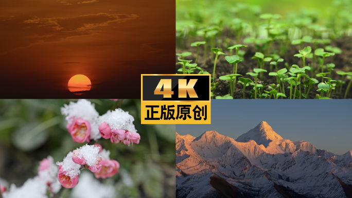 春天万物生长发芽冰雪消融万物复苏春暖花开