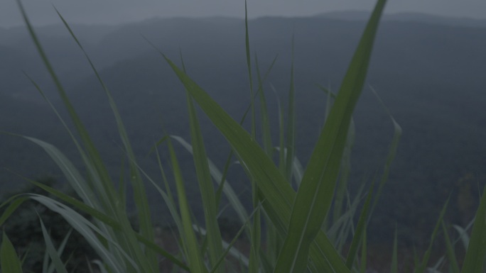 山间风景