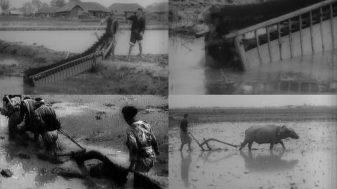 M004 清末 民初 农村