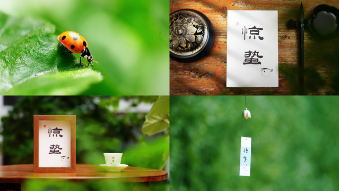 惊蛰 节气