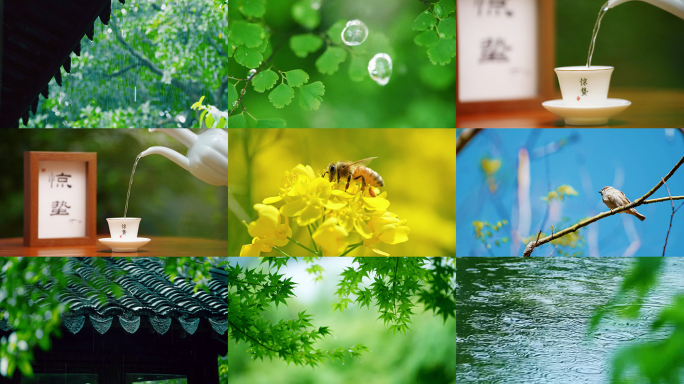 惊蛰 节气