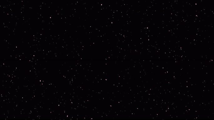 【超清8K】樱花桃花瓣雨通道循环 01