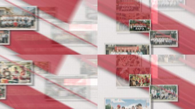 简洁党政图文展示
