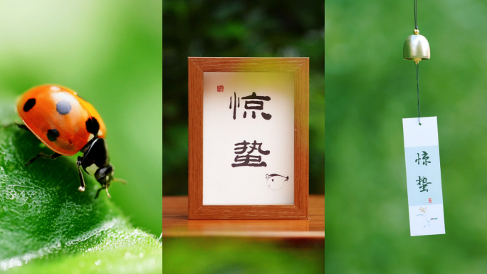 惊蛰 节气 竖版