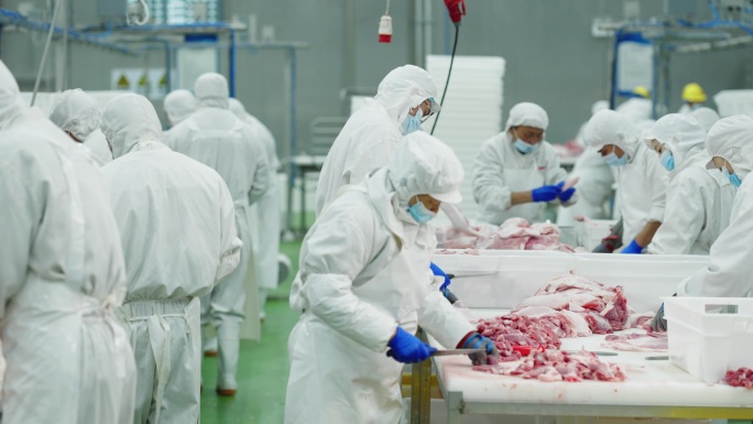 现代化猪肉加工全流程