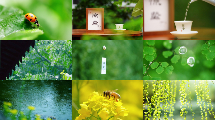 惊蛰 节气