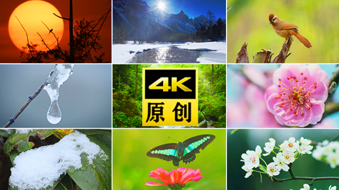 春天春开花冰雪融化风景万物生长开花春天春