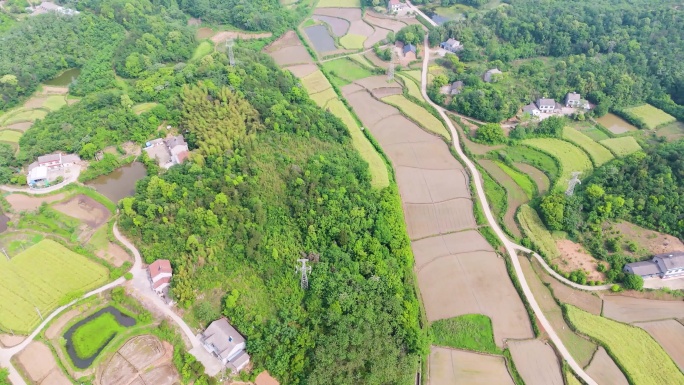 丘陵地农田 水田 丘陵地貌