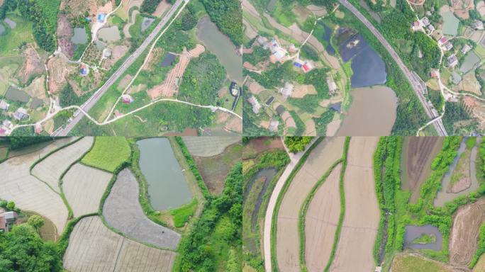 丘陵地农田 水田 丘陵地貌