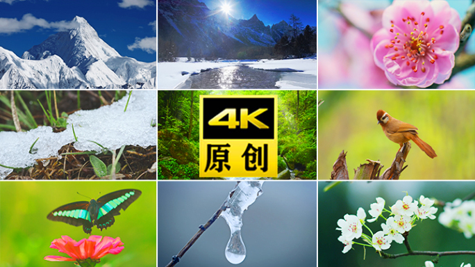 雨希望春分农业万物复苏生命力春风桃花惊蛰