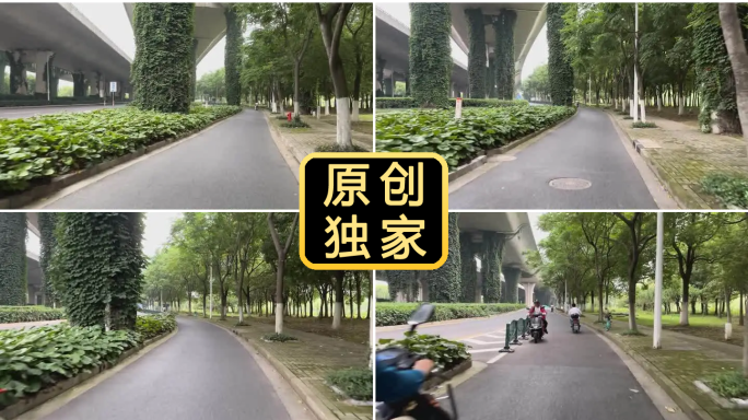 骑行第一视角 城市绿道 高架桥下绿色通道
