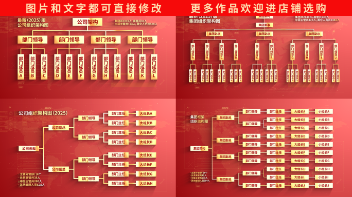 红色党政公司组织架构流程结构图