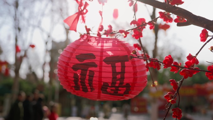 公园湖畔休闲时光城市公园自然风光解放公园