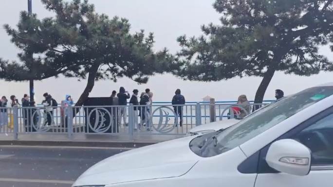 青岛栈桥海边初雪下雪010