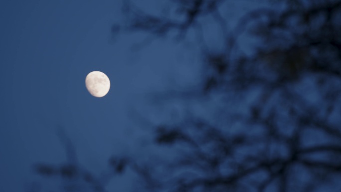 农村的月亮 房檐 夜晚空镜 月上梢头