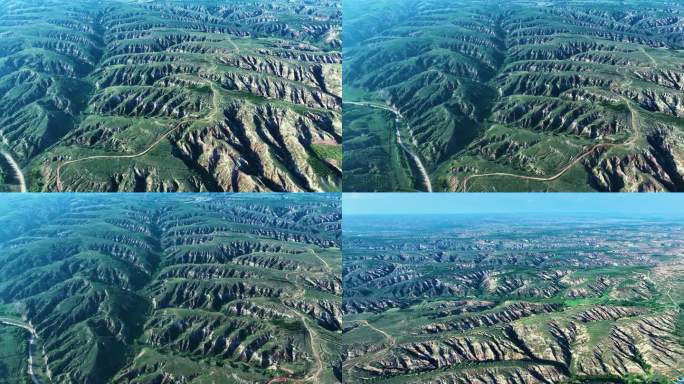 砒砂岩治理 准格尔 绿水青山 水体保持