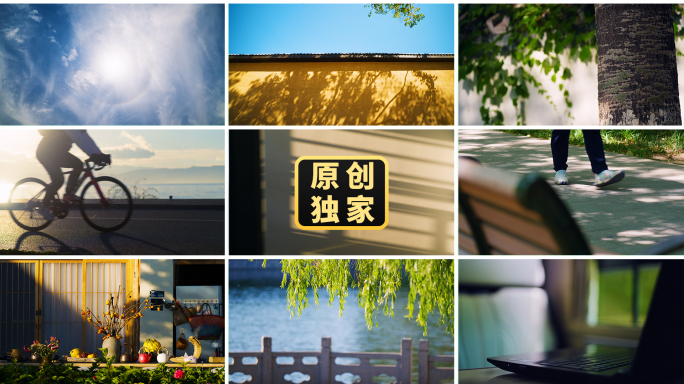 树叶光影夏天街道阳光大树唯美自然人文生活