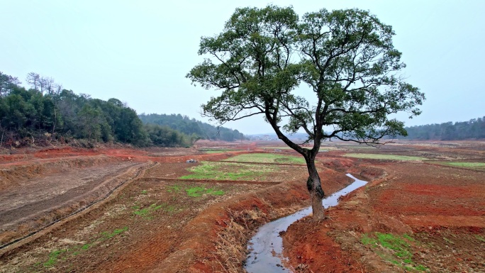 高标准农田建设 乡村振兴 农田改造