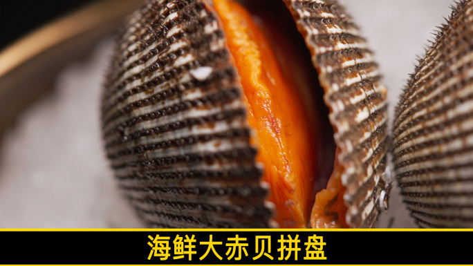 海鲜大赤贝拼盘