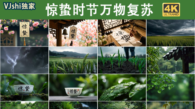 惊蛰时节下雨植物生长万物复苏大合集