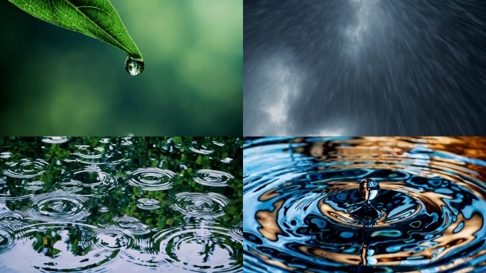 下雨天雨水梅雨季节春雨 唯美雨点雨滴