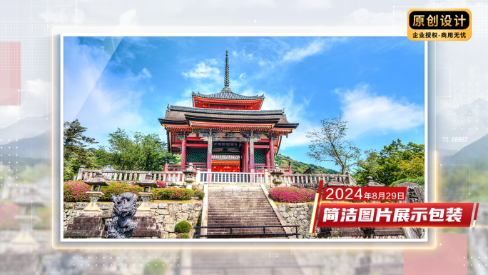 红色党政图片图文照片包装展示
